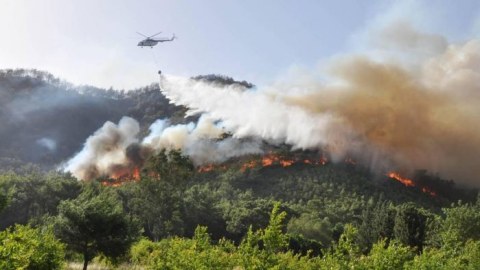 Türkiyədə yenidən meşə yanğını başladı