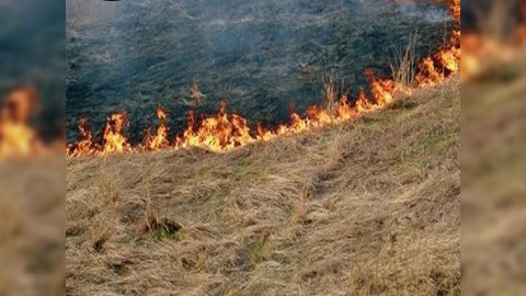 Zəngilandakı yanğın söndürüldü