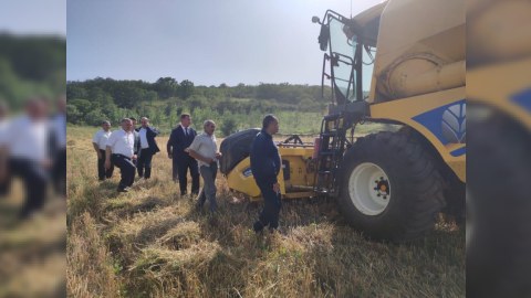 İcra başçısı taxıl biçinində - FOTO