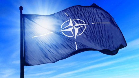 NATO Gürcüstana xüsusi status verdi 