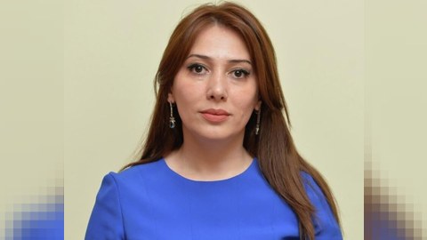 Lənkəranın icra başçısının müavininə cinayət işi AÇILDI
