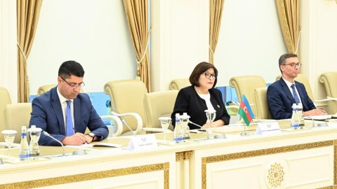 Sahibə Qafarova türkiyəli nazirlə görüşüb