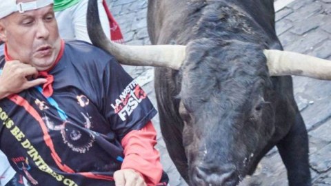 İspaniyada öküz döyüşləri zamanı 3 nəfər ölüb