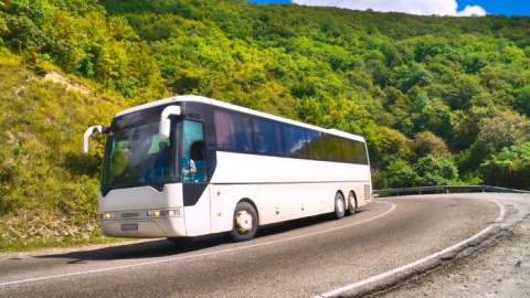 Misirdə ağır yol qəzası- 17 nəfər öldü