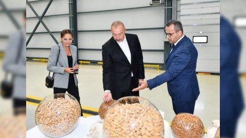 Fındıq ixracına görə dünyada üçüncü yerdəyik
