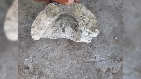 Ağdamda orta əsrlərə aid küp qalıqları tapıldı - FOTOLAR