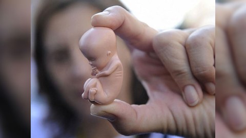 Abortu qadağan edən qanun imzalandı