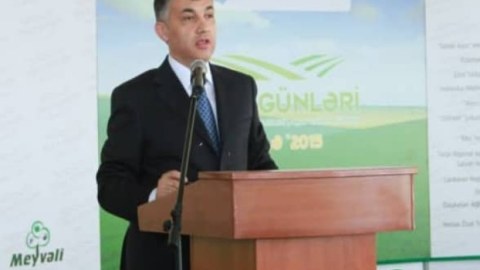 “Gömrük işi” - Əbülfəz Məlikov həbs olundu