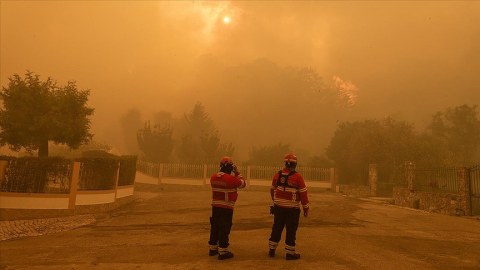 Portuqaliyada 17 min hektar meşə yanıb