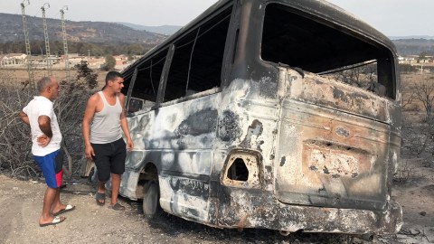 Əlcəzairdə meşə yanğınları - 37 nəfər öldü
