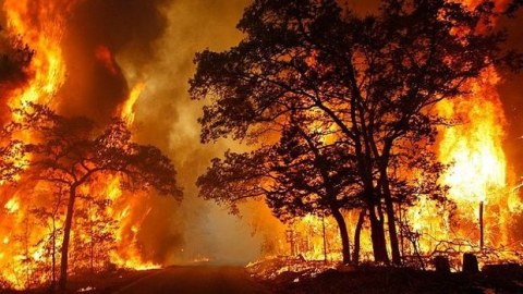 FHN yanğınlarla bağlı son məlumatı açıqladı