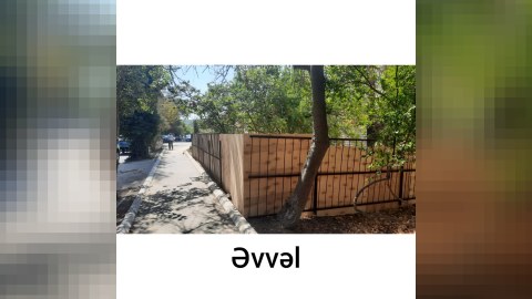 Ağacları kəsən şəxs cəzalandırıldı