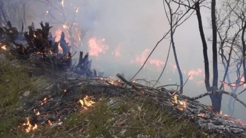 Yanğın qardaş ölkəni iflic etdi