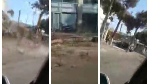 Buzovnada ağacların kəsilməsi faktı araşdırıldı
