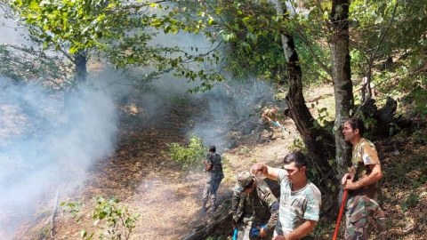 Qəbələ, Oğuz və Zaqataladakı yanğınlar davam edir