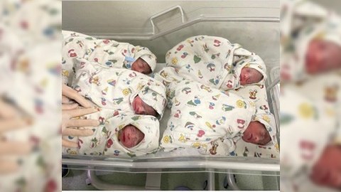 Bakıda doğulan beşəmlərdən biri öldü