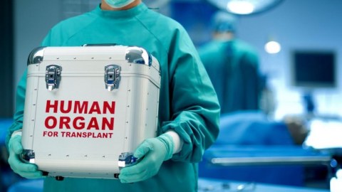 Donor transplantasiyası ilə bağlı qaydalar TƏSDİQLƏNDİ