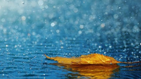 Temperatur düşəcək, yağış yağacaq - Sabahın havası