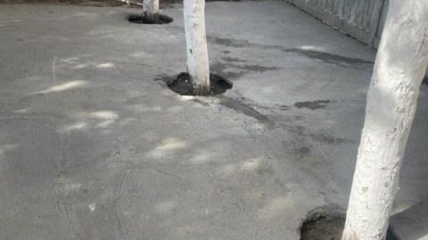 Ağacların dibi betondan təmizləndi
