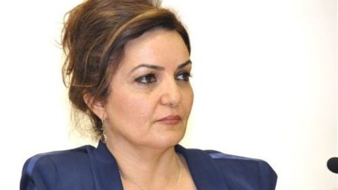 Azərbaycan özünümüdafiə hüququndan istifadə edir - Aygün Attar