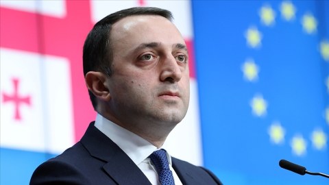 Qaribaşvili Almaniyada erməni təxribatından DANIŞDI