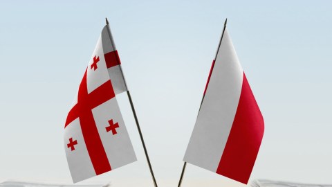 Gürcüstan və Polşa birgə PUA istehsal edəcək 