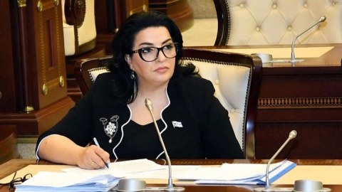 Deputat Ancelina Coliyə bənzədilməsi iddiasına aydınlıq gətirdi