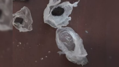 Ağdamda narkotik satan şəxs saxlanıldı - FOTO