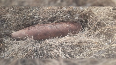 Laçında top mərmiləri tapıldı - FOTO