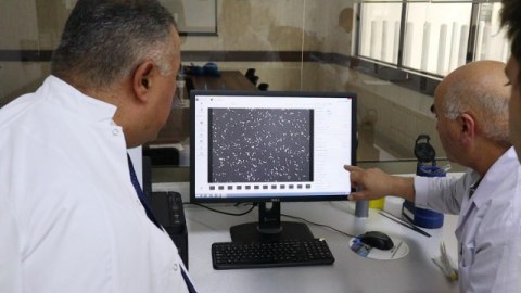İribuynuzlu heyvanlarda embrion transferi həyata keçiriləcək - FOTOLAR