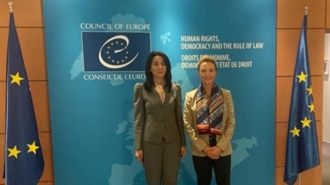 Ombudsman Avropa Şurasının baş katibi ilə görüşüb
