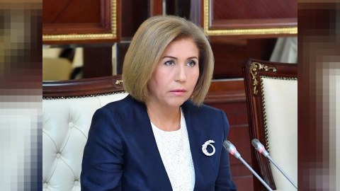 Hər sərhəd məntəqəsində bayrağımız dalğalanacaq