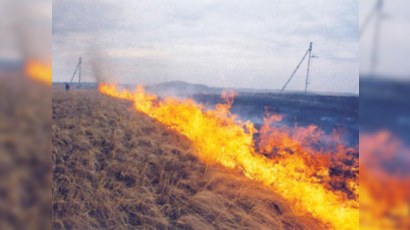 Buzovnada açıq ərazidə YANĞIN