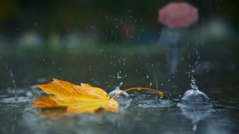 Günün havası - Yağış, külək, duman...