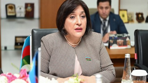 Sahibə Qafarova namibiyalı həmkarı ilə görüşdü 