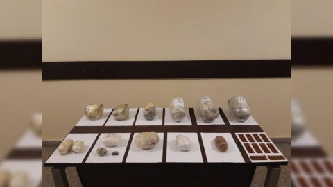2 tondan çox narkotik dövriyyədən çıxarılıb