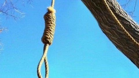 24 yaşlı oğlan özünü ağacdan ASDI