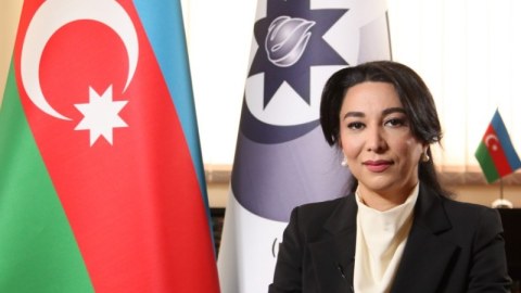 Yeni münaqişə ocağı yaratmağa çalışırlar - Ombudsman
