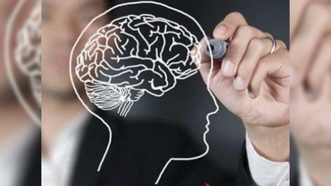 Ağıllı olmağınızı sübut edən 8 FAKT
