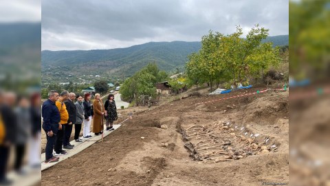 Xarici ekspertlər Edillidə - FOTOLAR