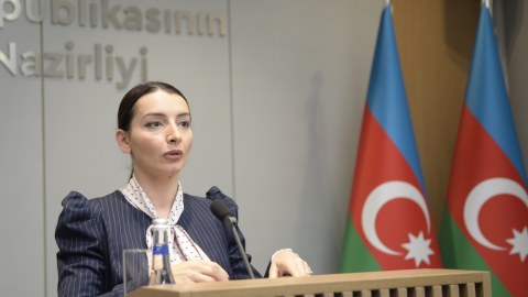 Erməni rəsmilər qəzəbli valideynlərə təsir etmək istəyir - Leyla Abdullayeva