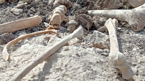 Xocavənddə insan sümükləri tapıldı