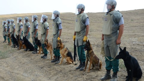 ABŞ Azərbaycana daha 15 minaaxtaran it verəcək