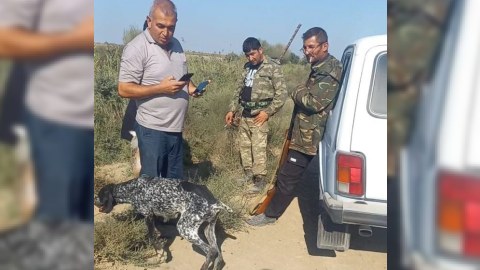 Balıq ovlayan 21 nəfər saxlanıldı