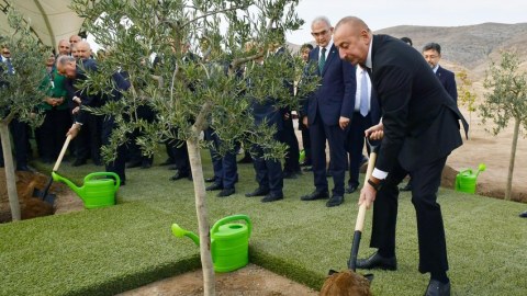 Liderlər Cəbrayılda ağac əkiblər