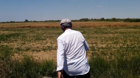“Oğlan istəyirəm ki, məni vursun” - Dəhşətli qətlin təfərrüatı