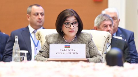 Sahibə Qafarova MDB PA-nın iclasında iştirak edib - FOTO