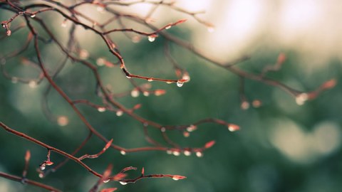 Sabahın havası - Yağış, qar yağacaq...