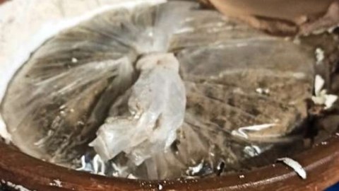 Güldanın içərisində heroin keçirmək istədilər