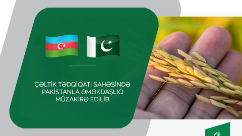 Pakistanla bu sahədə əməkdaşlıq müzakirə edilib